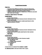 BIO137 Cranial Nerves Overview