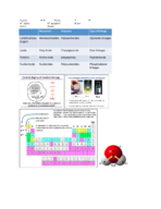 BSC midterm flashcards