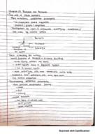 Exam 2 study guide