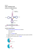 Biology 111, Week 9 Notes