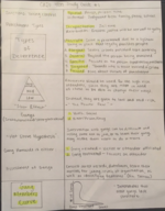 CRJU 4800 Study Guide 1