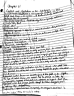 Study guide for final