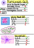 Study guide for chapters 11-13