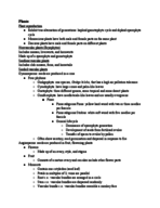 Week 6 Notes Plants