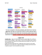 HIST 1007 Exam 2, Chapters 14-18