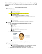 Developmental 2230 Midterm Study Guide