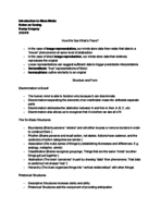 Com 114 Mass Media