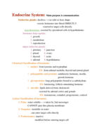 Ch 11 Endocrine System