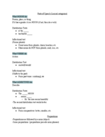 Grammar 21