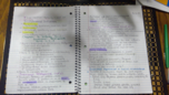 Lifespan Development Class Notes- Week 7