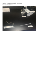 Bio 1103 Lab Review Guide 1