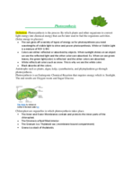 Unit 3 Study Guide on photosynthesis