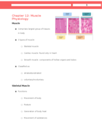 HHP:1300 Week 9 notes