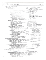 Anatomy Week 5