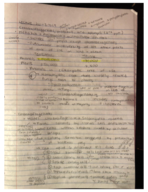 Week 9 Notes