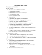 Microbiology Week 9 Notes