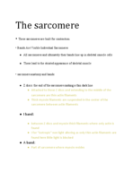 Chapter 12 Notes 