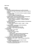 week 8 notes