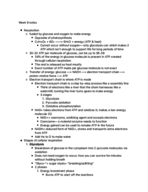 week 9 notes