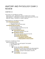 Anatomy chapters 10, 11, and 13