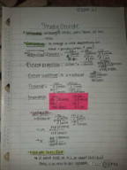 Study Guide for Exam 2
