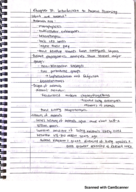 Study guide for exam 3