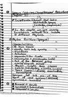 BSC2011- Biology II, Week 11 Notes