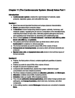 A&P Chapter 11 Notes Part 1