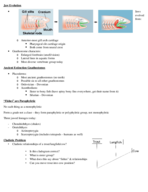 Week 9 Notes (3-11-2019)