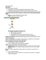 exam four study guide part one.