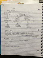 Week 9 Notes