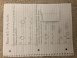 Exam 3 Study Guide