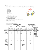 Week 13 Notes