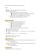 Exam 3 Overview