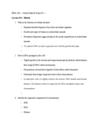 stuidy guide for exam 3