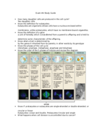 Final exam study guide