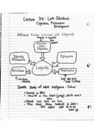 Psych 160: Claire Lyons: Lecture 24: Late Adulthood: Cognition; Psychosocial development