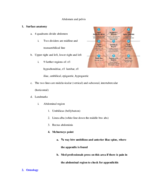 abdomen and pelvis