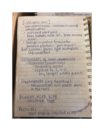ISS 310 Study Guide 3