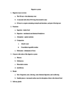 the digestive system