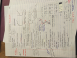 BME 211 Study Guide Exam 2