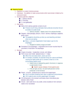 Final Exam Study Guide