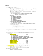 Anatomy & Physiology 1, week 7 notes