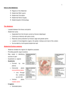 Semester Notes - The Abdomen and Pelvis 