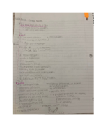 Exam 1 Study Guide