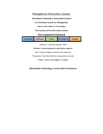 Management Info Systems Week 1 Notes