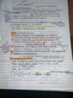 CHM 1250 Recrystallization Lab Notes