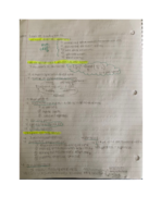 exam 3 study guide