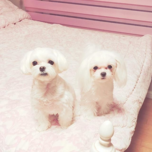 Test upload