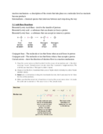 Chapter 3 - Acid and Bases Notes